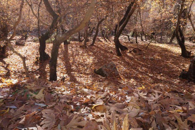 Şırnak’ta Kartpostallık Görüntüler Oluştu