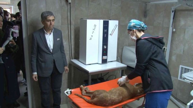 Ümraniyeli Gençlerden Hayvan Bakımevine Ziyaret