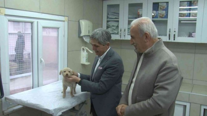 Ümraniyeli Gençlerden Hayvan Bakımevine Ziyaret