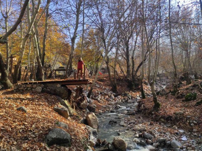 Batman’da Asırlık Çınar Ağaçlarının Yaprakları Doğal Stüdyo Oluşturdu