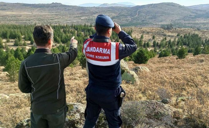 Aksaray’da Jandarma Anadolu Yaban Koyunlarını Dron İle Takip Ediyor