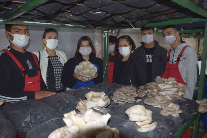 Lise Öğrencileri Ürettikleri İstiridye Mantarının İlk Hasadını Yaptı