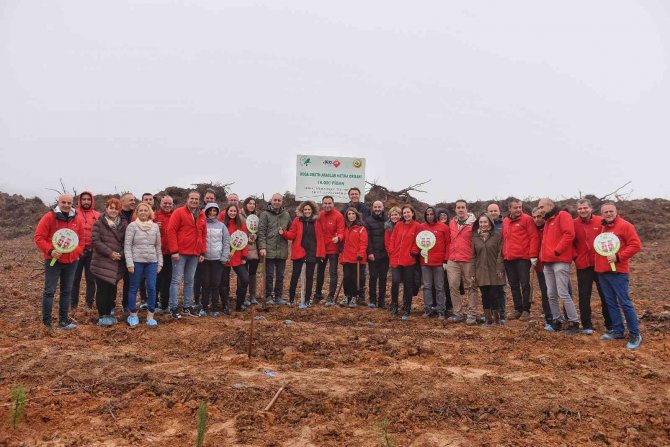 16 Bin Fidan Toprakla Buluştu