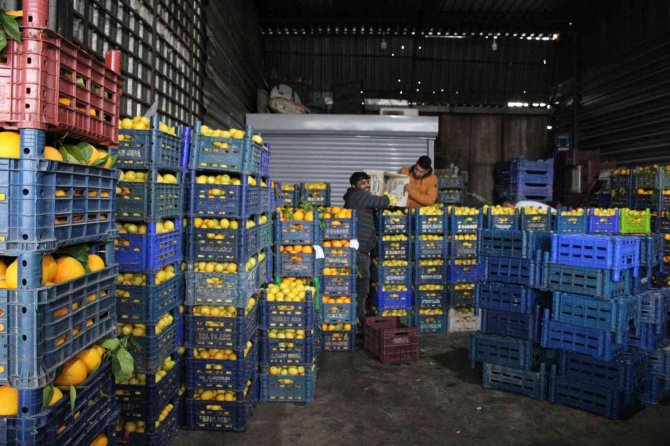 Aydın’da Pazarların En Rağbet Gören Ürünü Limon Oldu