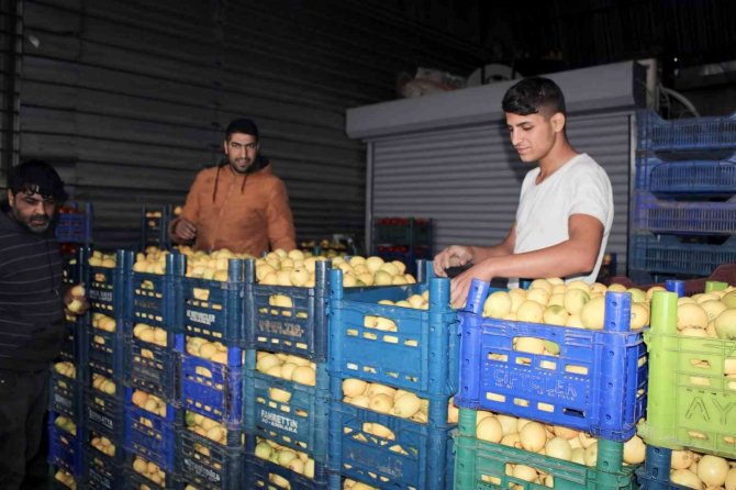 Aydın’da Pazarların En Rağbet Gören Ürünü Limon Oldu