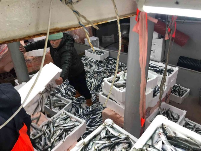 Didim’de Su Ürünleri Denetimi Yapıldı