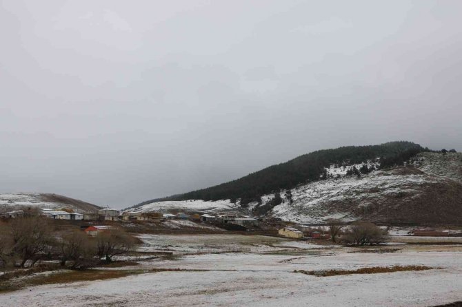 Hanak Ve Çamlıçatak Ormanlarında Kar Ve Sis Manzarası Havadan Görüntülendi