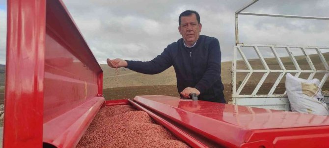 Yozgat’ta Buğday Ekimi Sürüyor