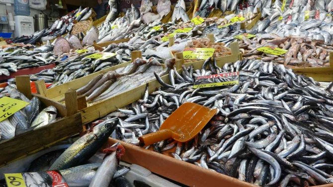 Balık Tezgahlarında Palamutun Yerini Çinekop Alıyor