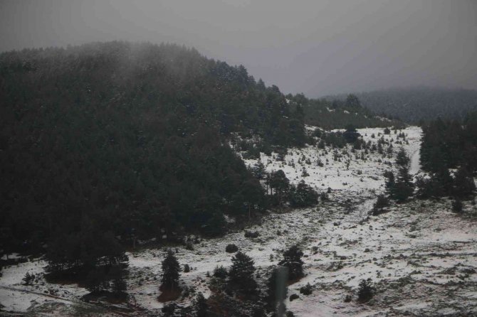 Hanak Ve Çamlıçatak Ormanlarında Kar Ve Sis Manzarası Havadan Görüntülendi