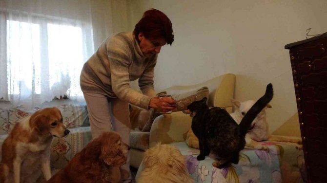 Hayvan Sever Ezeli Düşmanlığa Son Verdi