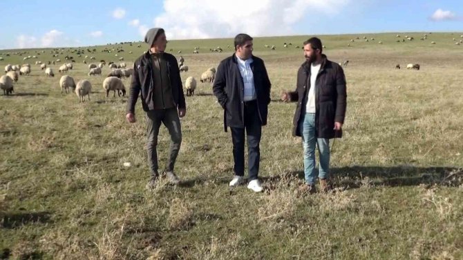 Muş’ta Sıcak Hava Besicilerin Yüzünü Güldürüyor