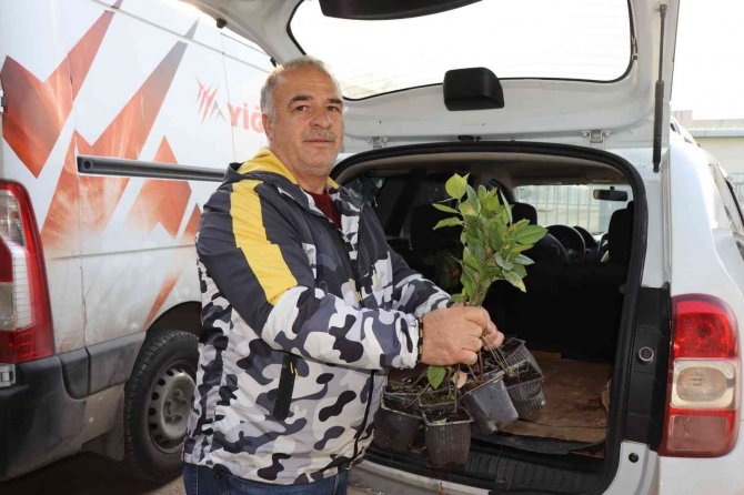 Çiftçilere "Süper Meyve" Fidanı Dağıtıldı