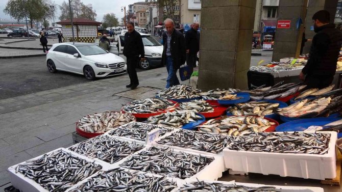 Hamsi Trabzon Açıklarına Ulaşınca Tezgahlardaki Yerli Hamsiye İlgi Arttı