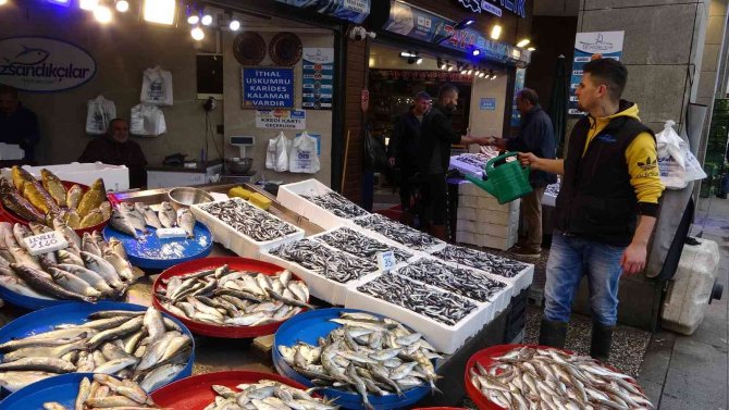 Hamsi Trabzon Açıklarına Ulaşınca Tezgahlardaki Yerli Hamsiye İlgi Arttı