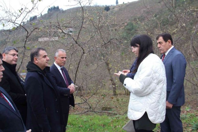 Trabzon’a Fındık Adası Kurulacak