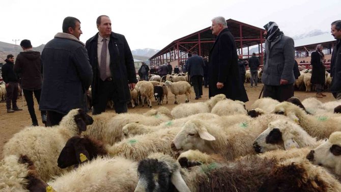 Başkan Kandaşoğlu’ndan Canlı Hayvan Borsası Müjdesi