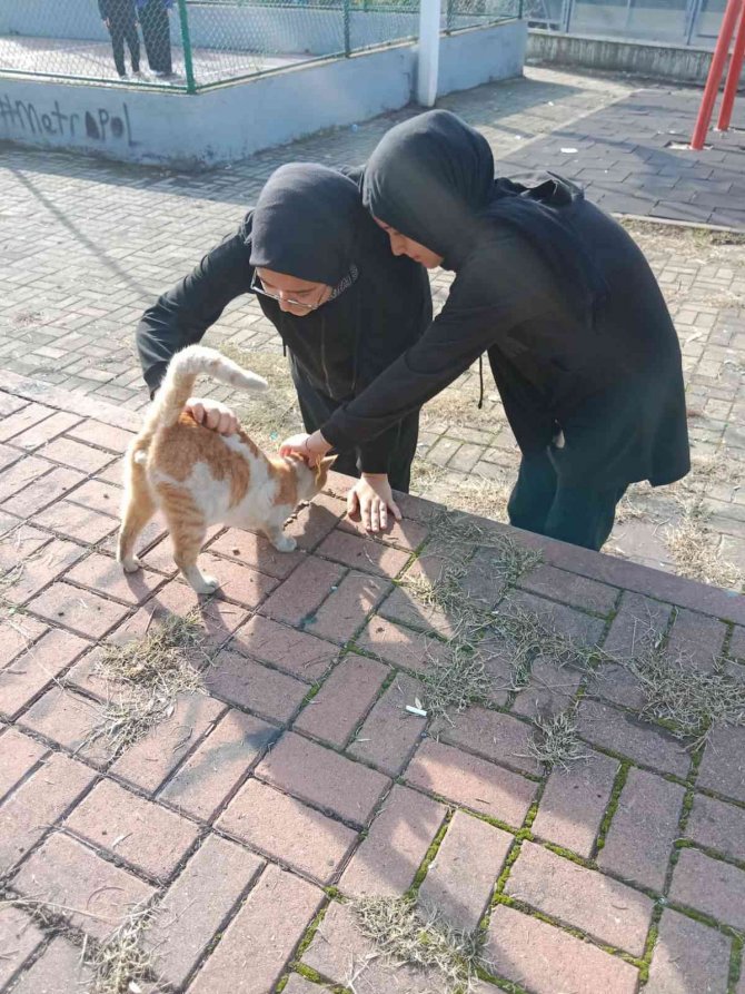 Biriktirdikleri Harçlıklarıyla Sokak Hayvanlarına Mama Aldılar