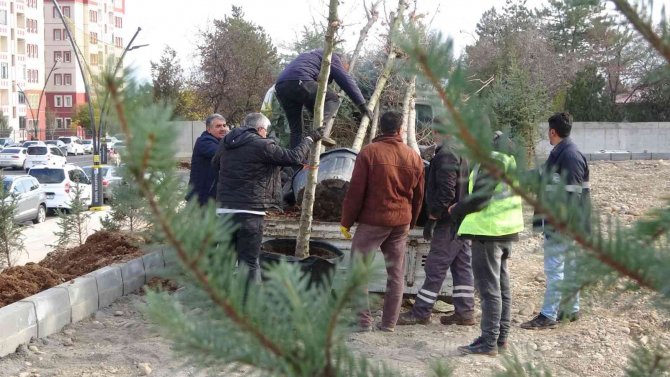 Bingöl Belediyesinden Hummalı Çalışma