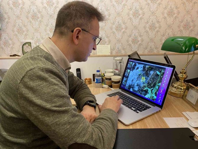 Prof. Dr. Ersin Karabacak: "Benlisığırkuyruğu Türünün Nesli Yüksek Tehdit Altındadır"