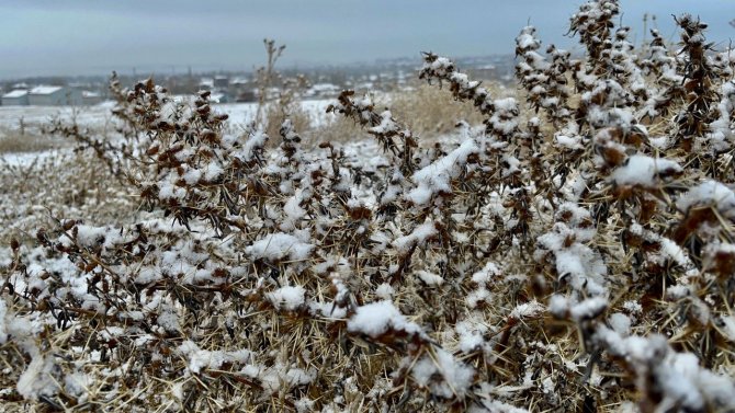 Ağrı’ya Mevsimin İlk Karı Yağdı