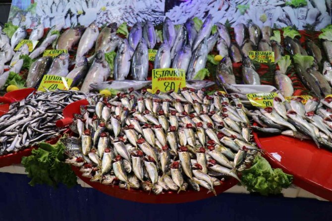 Malatya’da Balıkçı Tezgahlarının Gözdesi ’İstavrit’