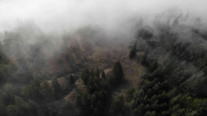 Eskişehir’i Sis Örttü