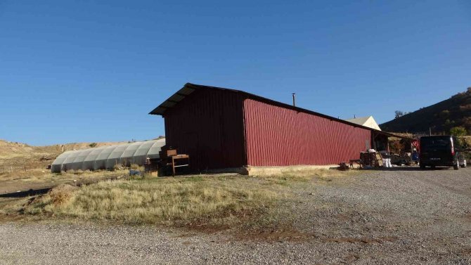 Solucan Gübresine Talep Her Geçen Gün Artıyor