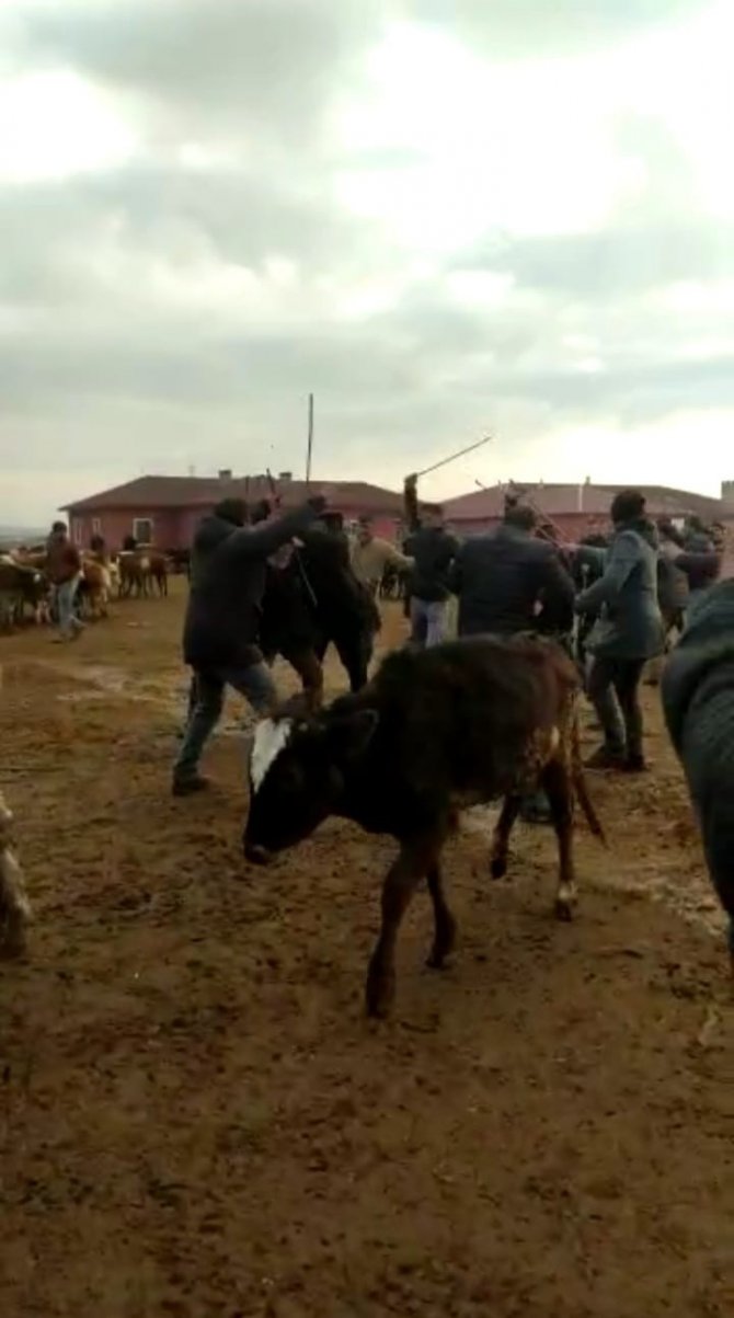 Ağrı Canlı Hayvan Pazarı’nda Sopalı Kavga: 4 Yaralı