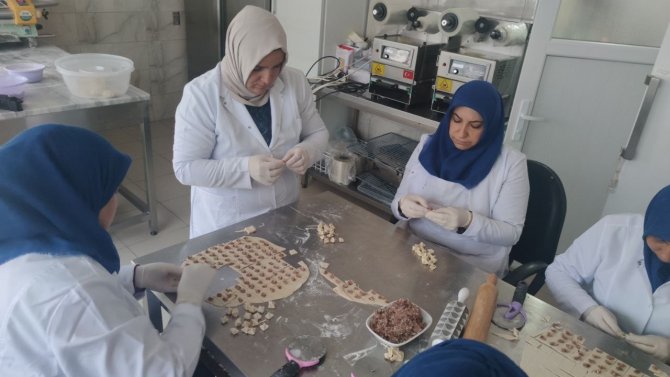 Kadınların İstihdamı İçin Alyans Ve İnek Satıp Kooperatif Kurdular