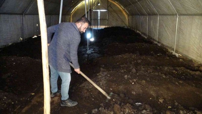 Solucan Gübresine Talep Her Geçen Gün Artıyor