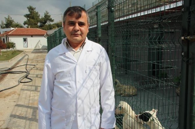 Bilecik’te 800 Kedi Ve 2 Bin Köpeği Kısırlaştırıp Çip Takıldı