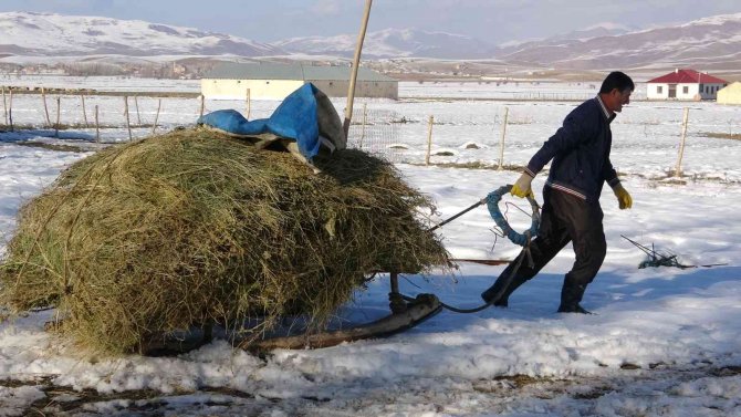 Besicilerin 6 Ay Süren Kış Mesaisi Başladı
