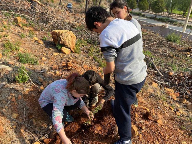 İ̇çmelerli Öğrenciler Yüzlerce Fidanı Toprakla Buluşturdu