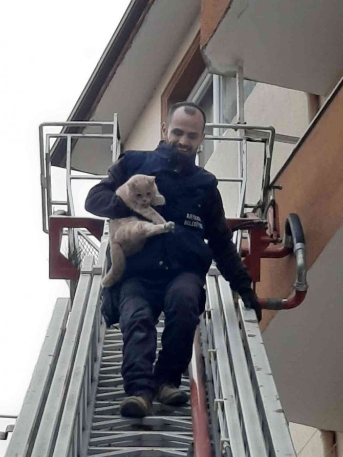 Balkonda Mahsur Kalan Kediyi İtfaiye Ekipleri Kurtardı