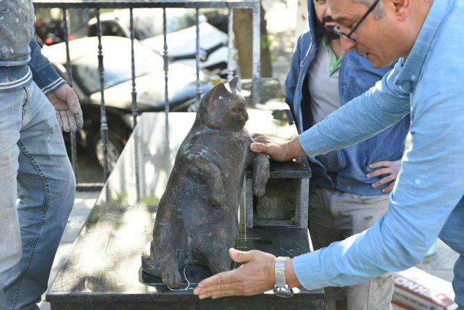 Kadıköy’ün Kedisi Tombili Yuvasına Döndü
