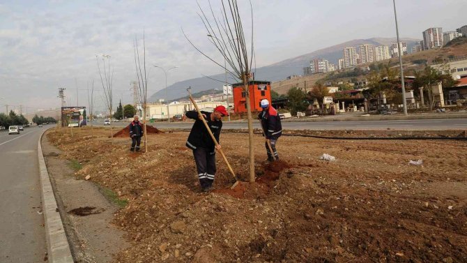 Kahramanmaraş’ta 10 Bin Ağaç Ve Yüz Binlerce Çiçek Toprakla Buluşturuldu