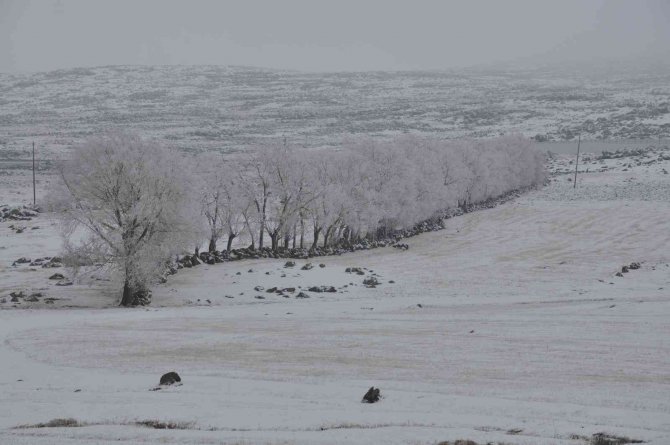 Kars’ta Lavaşın Gölü Buz Tuttu