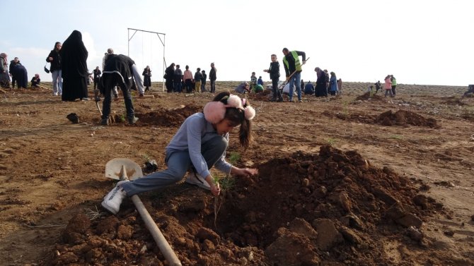 Yetimler Babaları İçin Fidan Dikti