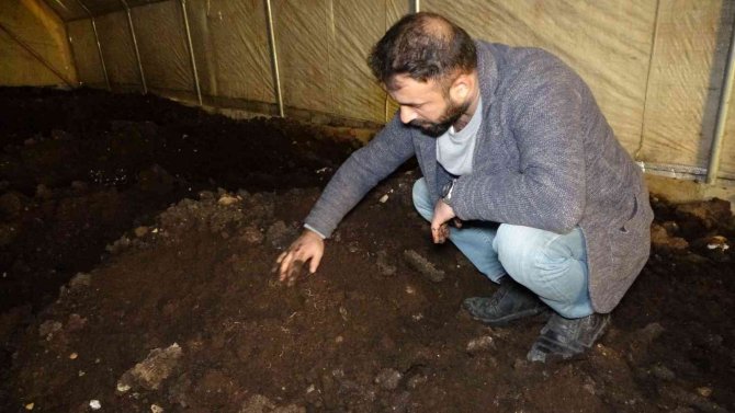 Solucan Gübresine Talep Her Geçen Gün Artıyor