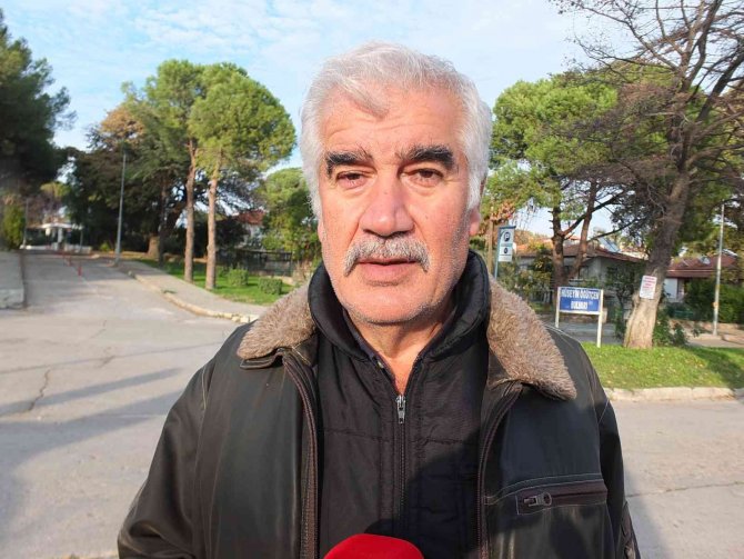 Balıkesir Ören Sahili’nde Kuruyan Ağaçlar Tedirgin Etti