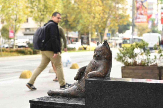 Kadıköy’ün Kedisi Tombili Yuvasına Döndü