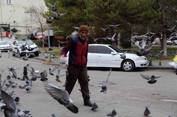 8 Asırlık Camide 17 Yıldır Kuşlara Babalık Yapıyor