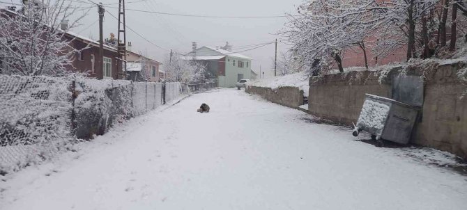 Tunceli’nin İlçeleri Beyaza Büründü