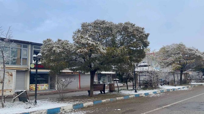 Muradiye’de Kar Yağışı