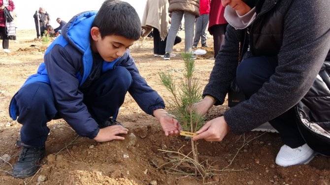 Yetimler Babaları İçin Fidan Dikti