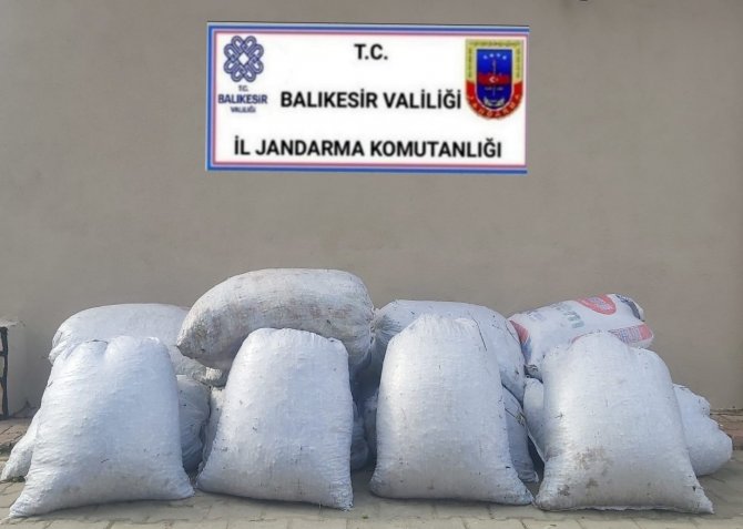 Zeytin Hırsızları Yakalandı, 18 Kişi Tutuklandı
