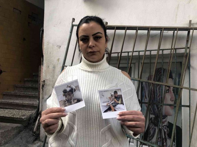 Arnavutköy’de Arabayla Çarpılarak Ölen Köpeğin Sahibi Konuştu