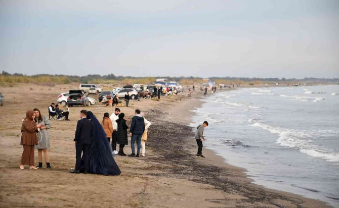 Bozdoğan: "Tarsus’un İl Olması İçin Halkın Birleşmesi, Bütünleşmesi Gerekiyor"