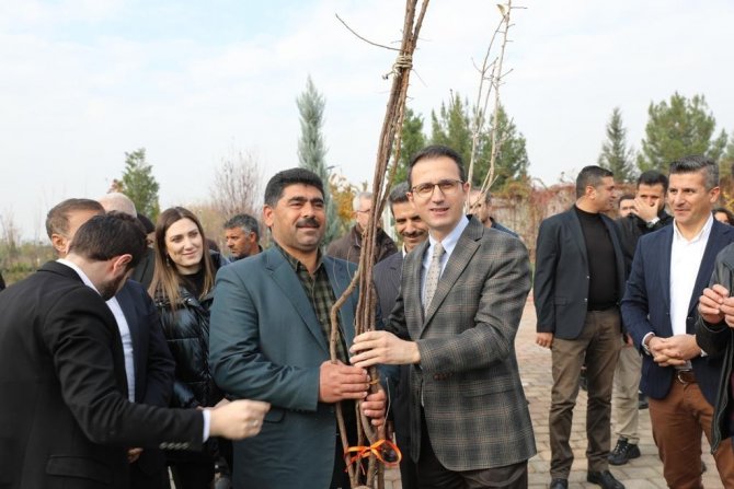 Kayapınar Belediyesi 36 Bin Fidan Dağıttı